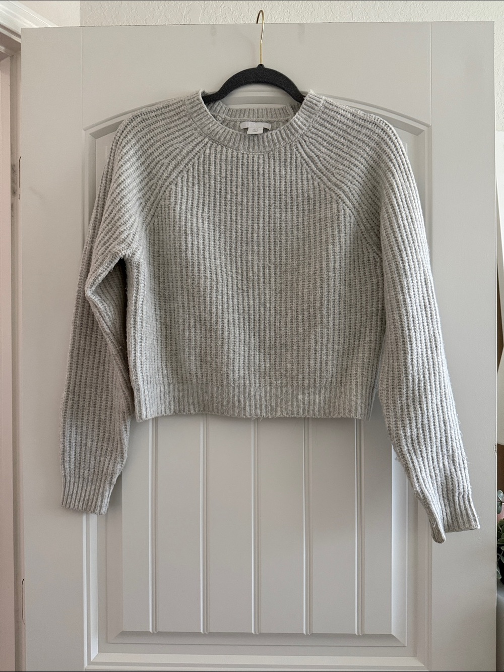 Ribbed Cropped Crewneck Sweater in Light Gray